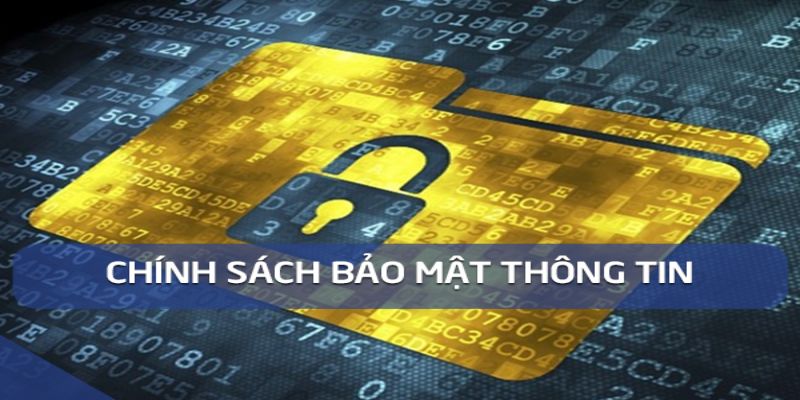 Chính Sách Bảo Mật tại robo-code.com.mx - Quyền Riêng Tư Của Bạn Được Bảo Vệ Như Thế Nào?