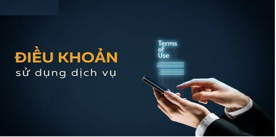 Điều Khoản Điều Kiện robo-code.com.mx - Quyền Lợi & Trách Nhiệm Của Bạn