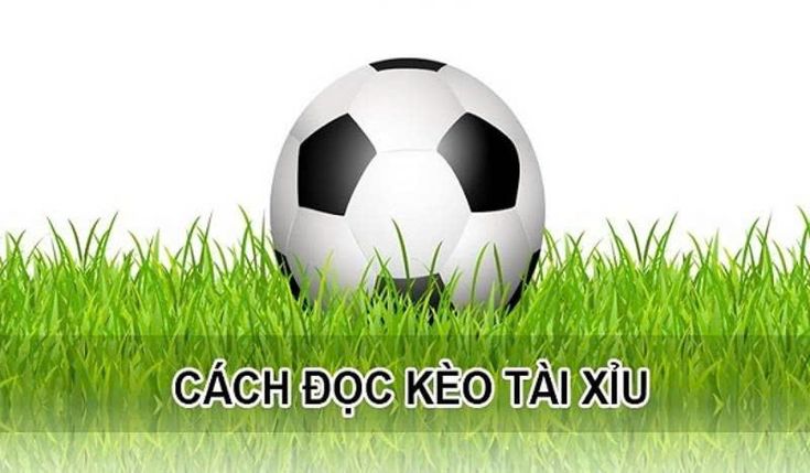 Giải Mã Tỷ Lệ Kèo Tài Xỉu - Bí Mật Cá Cược Thành Công Cách đọc kèo tài xỉu: Kinh nghiệm chơi chi tiết và hiệu quả nhất